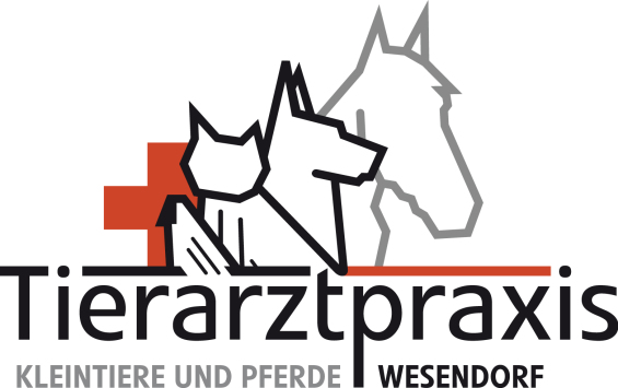 Tierarztpraxis für Kleintiere und Pferde Tierarztpraxis für Kleintiere und Pferde